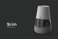 Understanding Consumer Needs in Software Product Design Understanding Consumer Needs in Software Product Design