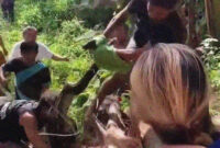 News-Based Shopping Campaigns That Capture Buyer Attention