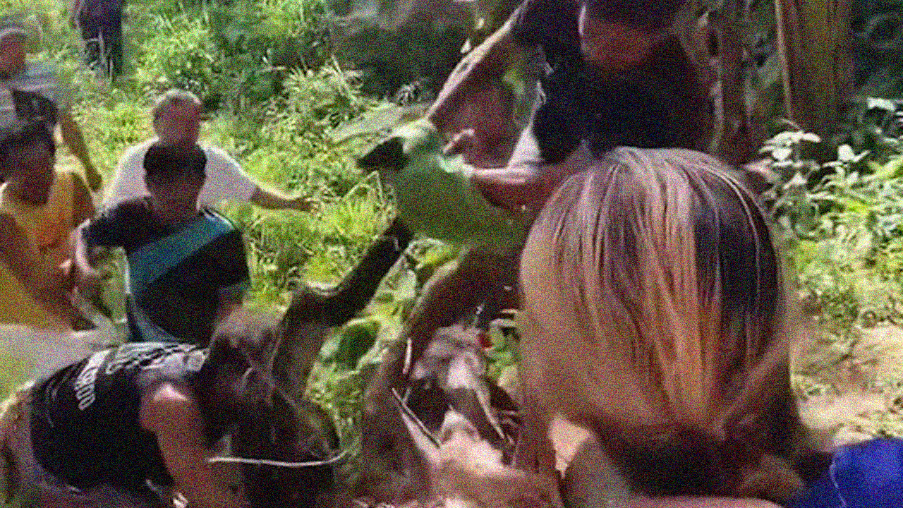 16-foot python escapes cage in Cebu, sparks public alarm - Brigada News News-Based Shopping Campaigns That Capture Buyer Attention